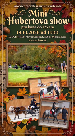 Mini Hubertova show 18.10.2026 